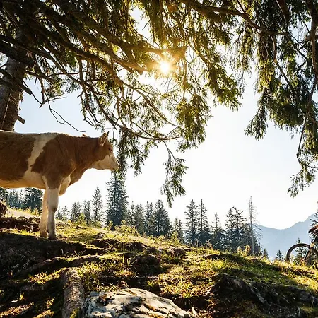 Lägenhet Ferienwohnung Innerlohen Ruhpolding